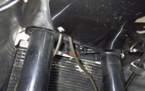 APRILIA RS250