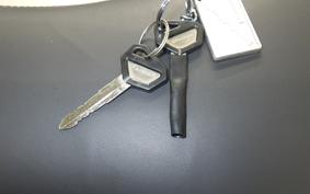 KAWASAKI SUPER SHERPA KL250G
