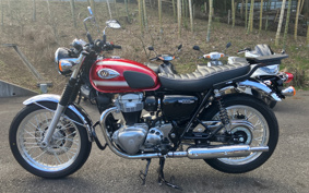 KAWASAKI W800 2022 EJ800E