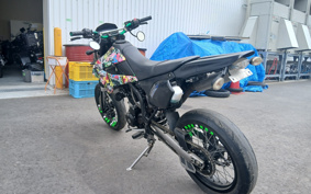 KAWASAKI KLX125D TRACKER X LX250V