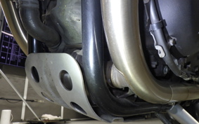 TRIUMPH SPEED TWIN 2019