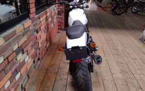 HARLEY X500 2024 W5B