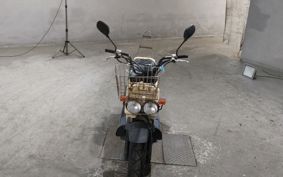 HONDA ZUMAR AF58