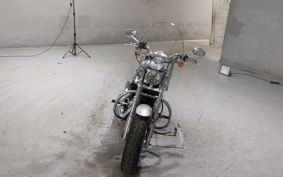 HARLEY XL1200C CT3
