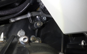 KAWASAKI ZX 1400 NINJA R A 2020