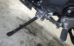 SUZUKI Vｽﾄﾛｰﾑ250A 2018