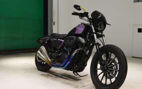 OTHER +HD. XL1200X 2010
