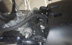 HONDA GIORNO 3 2025 AF77