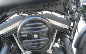 HARLEY XL883N 2020 LE2