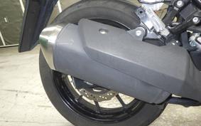 SUZUKI Vｽﾄﾛｰﾑ250 2022