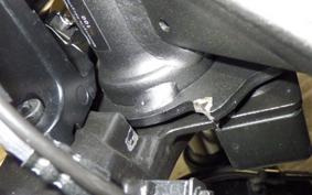 HONDA REBEL 250 E-Clutch 2025 MC49