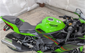 KAWASAKI NINJA ZX-4RR 2023 ZX400P