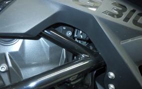 BMW G310GS 2024