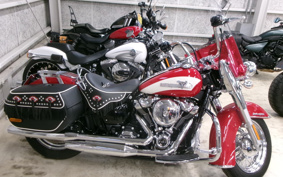 HARLEY FLI HYDRA-GLIDE 2024 BCK