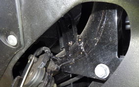 YAMAHA CYGNUSRAYZR 2010