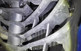 SUZUKI ｼﾞｸｻｰ250SF 2019