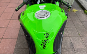 KAWASAKI NINJA ZX-6R 2009 ZX4R12