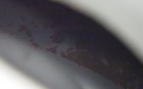 HONDA CB223S 2015 MC40