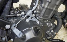 HONDA REBEL 250 A 2022 MC49