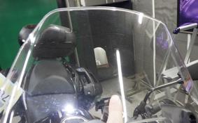 KAWASAKI VERSYS 1000 SE 2020 LZT00D