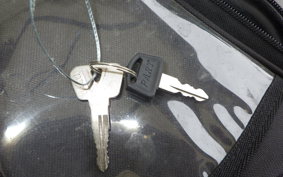 YAMAHA TT250R RAID 4GY