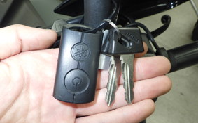 YAMAHA TRICITY 300 2021 SH15J