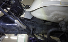 HONDA GORILLA 2024 AB27