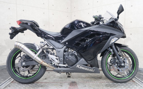 KAWASAKI NINJA 250 EX250L