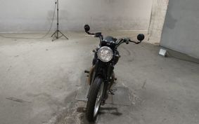 KAWASAKI W800 2021 EJ800B
