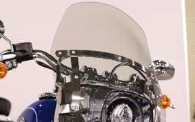 HARLEY FLFBS 2023 YGK