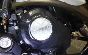 DUCATI SCRAMBLER ICON 2024