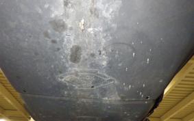 SUZUKI ADDRESS V125 2023 DT11A