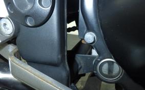 KAWASAKI NINJA 250 ABS EX250L
