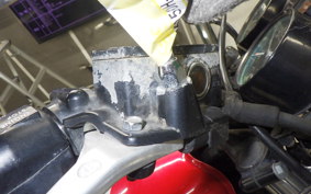 KAWASAKI Z250 Limited 2025 KZ250H