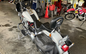 HARLEY HARLEY FLSTC 2001 BJY