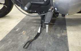 HARLEY XL883N 2017