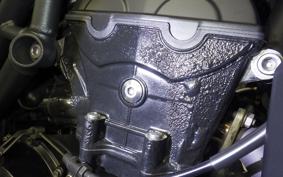 TRIUMPH TIGER 800 2012