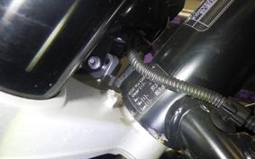 BMW R12 2025