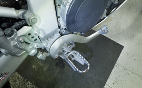 YAMAHA WR250R 2021 DG15J