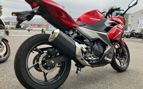 KAWASAKI NINJA 250 EX250P