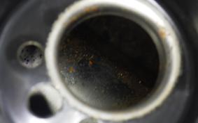 TRIUMPH STREET SCRAMBLER 2021