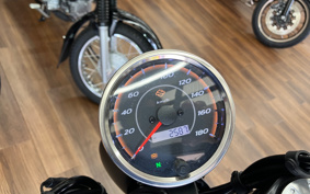 HARLEY X500 2024 W5B