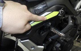 TRIUMPH STREET TRIPLE RS 2020