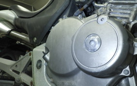 HONDA HORNET 250