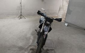 KAWASAKI D-TRACKER LX250E