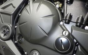 KAWASAKI VERSYS A 2025 LE650H