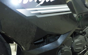 KAWASAKI NINJA 250
