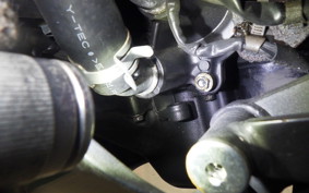 HONDA CB650R 2024 RH03