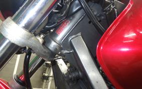 HONDA HORNET 250 2018 MC31