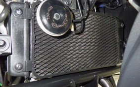 SUZUKI V-STROM 250 2024